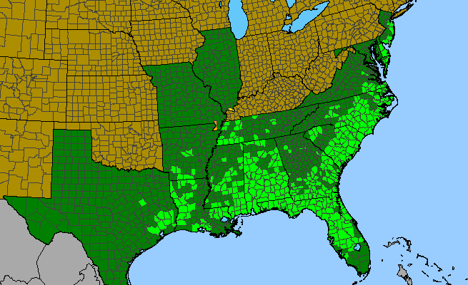 The range of Nyssa biflora